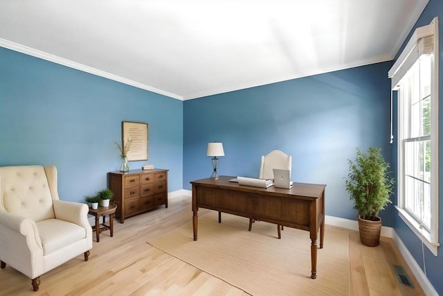 10 Tigger Ln, South Hadley, MA 01075 - office space featuring crown molding and light wood finished floors