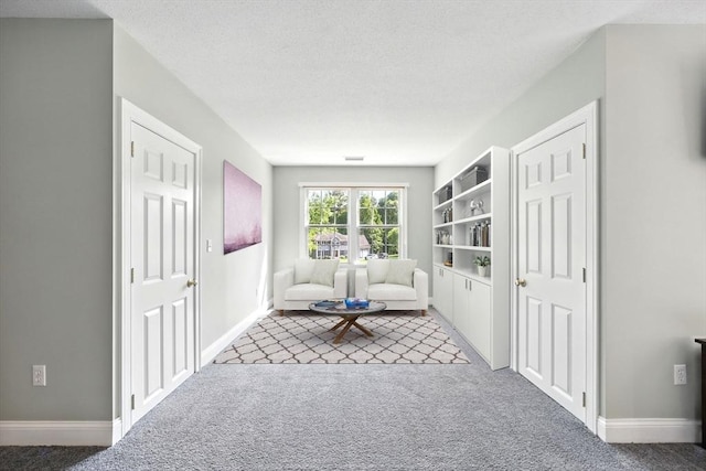 10 Tigger Ln, South Hadley, MA 01075 - living area featuring carpet flooring and a textured ceiling