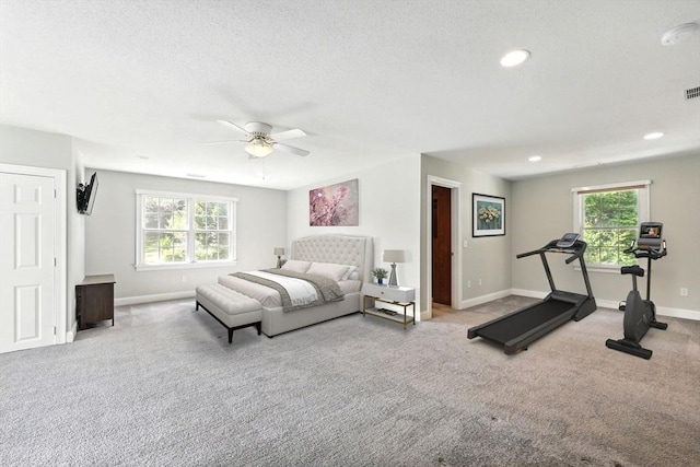 10 Tigger Ln, South Hadley, MA 01075 - carpeted bedroom featuring multiple windows, a ceiling fan, recessed lighting, and a textured ceiling