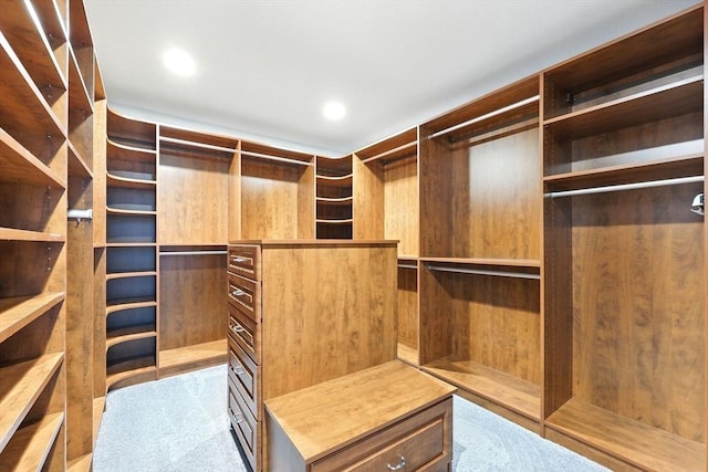 10 Tigger Ln, South Hadley, MA 01075 - spacious closet with carpet floors