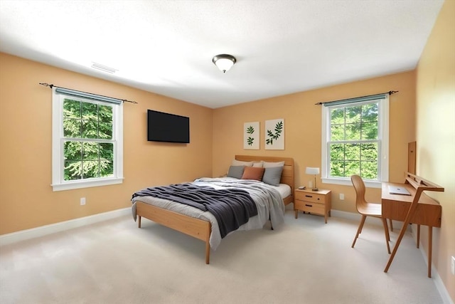 10 Tigger Ln, South Hadley, MA 01075 - bedroom featuring baseboards and carpet