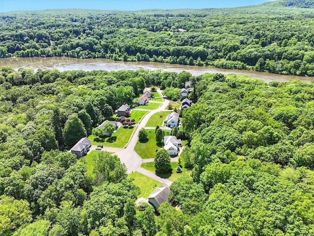 10 Tigger Ln, South Hadley, MA 01075 - bird's eye view of a forest and a large body of water