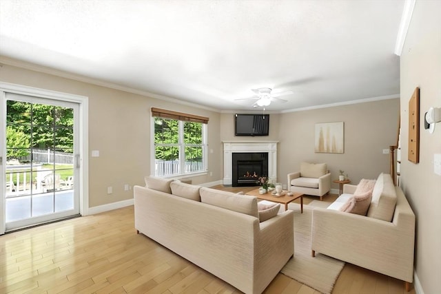 10 Tigger Ln, South Hadley, MA 01075 - living area featuring ceiling fan, plenty of natural light, a warm lit fireplace, light wood-type flooring, and crown molding