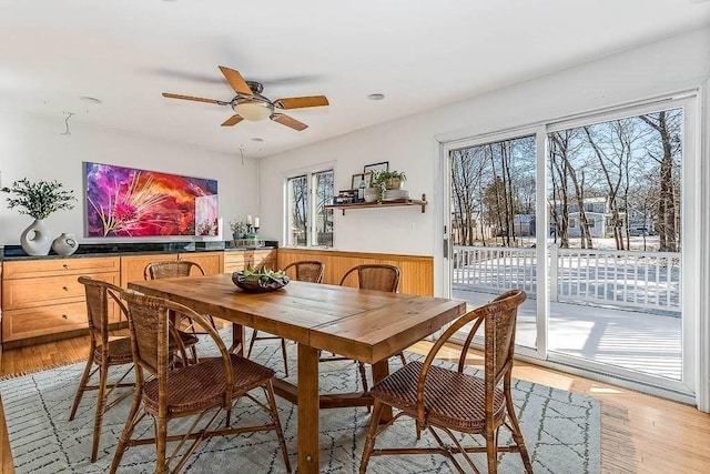 dining area with ceiling fan and light wood-type flooring