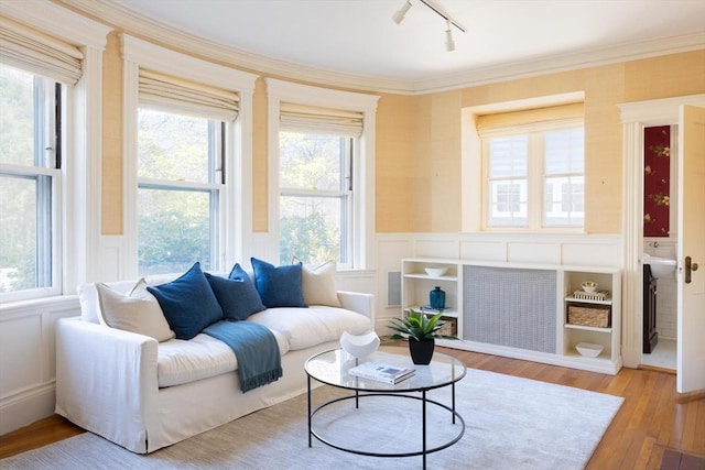 87 Crowninshield Rd, Brookline, MA 02446 - living area featuring track lighting, wainscoting, a decorative wall, hardwood / wood-style floors, and radiator heating unit