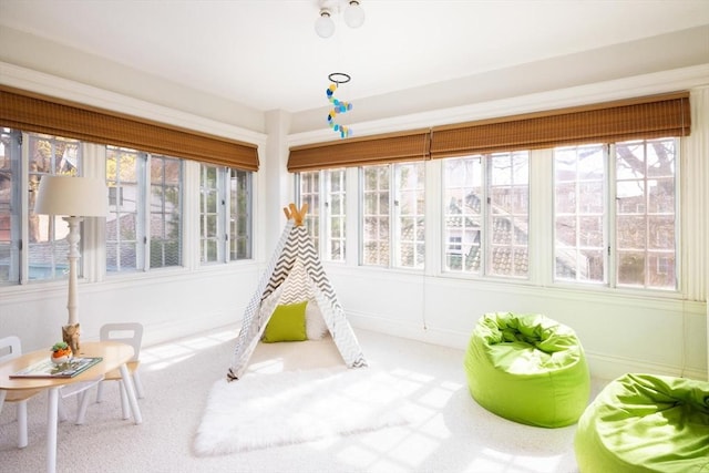 87 Crowninshield Rd, Brookline, MA 02446 - recreation room featuring carpet floors and a healthy amount of sunlight