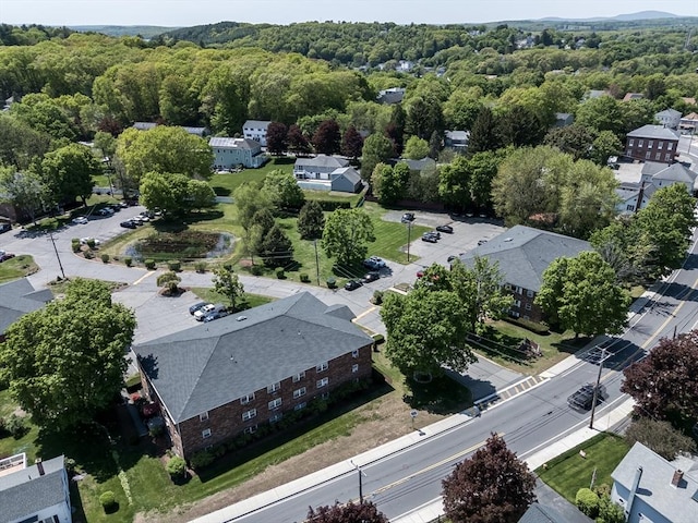 bird's eye view of a forest