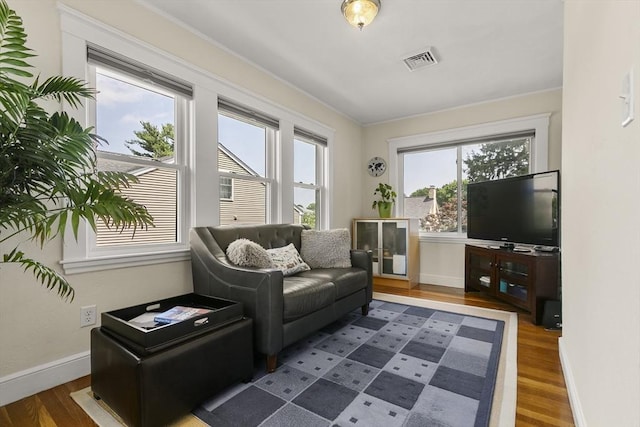 16 Field Rd Unit 16, Arlington, MA 02476 - living room with wood finished floors and plenty of natural light