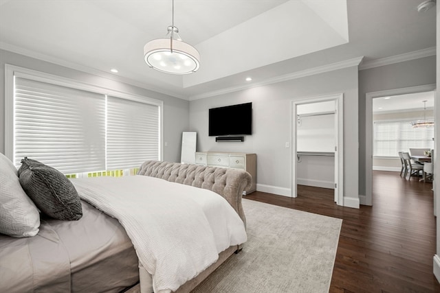 bedroom featuring a spacious closet, a closet, ornamental molding, and dark hardwood / wood-style floors