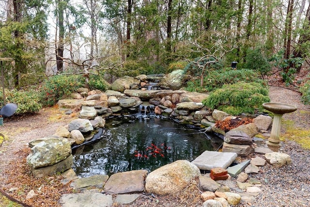 view of yard with a garden pond