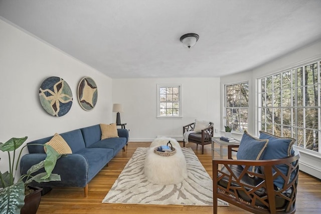 living area featuring baseboard heating and wood finished floors