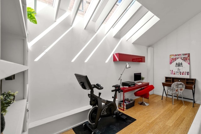 exercise area featuring a skylight and light hardwood / wood-style floors