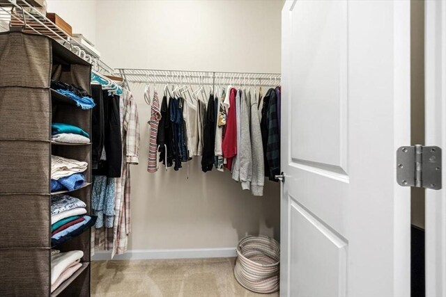 90 Trotter Rd Unit 309, Weymouth, MA 02190 - walk in closet with carpet floors