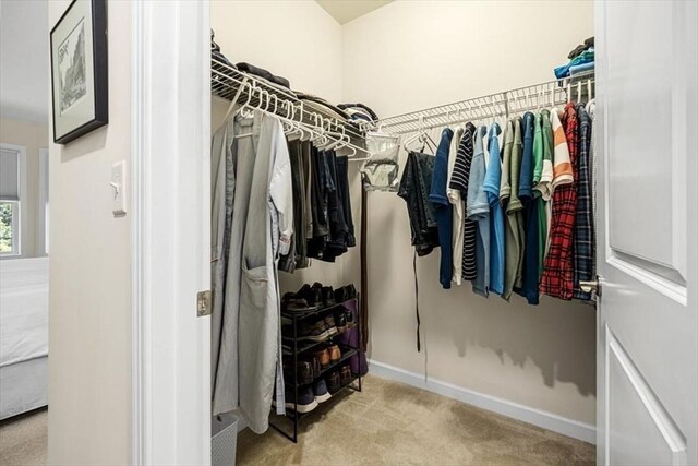 90 Trotter Rd Unit 309, Weymouth, MA 02190 - walk in closet featuring carpet