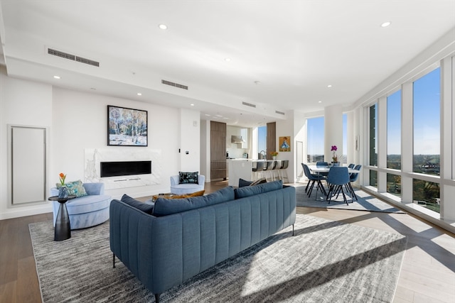 living room featuring a premium fireplace and wood-type flooring