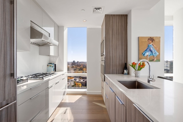 kitchen with sink, light hardwood / wood-style floors, stainless steel appliances, white cabinets, and extractor fan