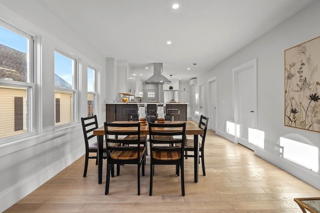 dining area with light hardwood / wood-style flooring