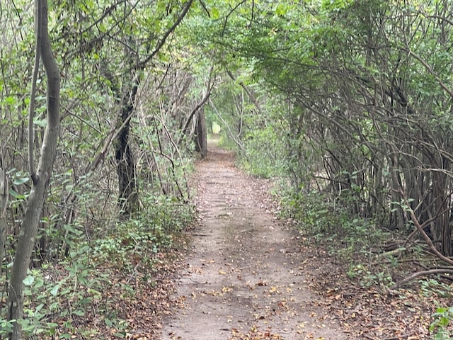 view of local wilderness