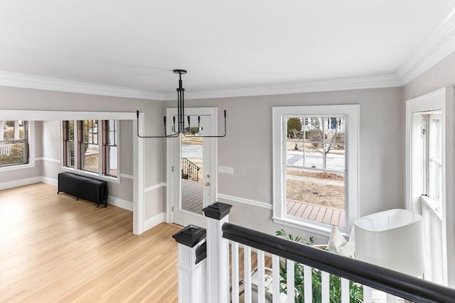 dining room featuring a wealth of natural light, radiator, light wood-style flooring, and baseboards