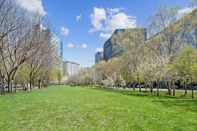 view of community featuring a yard