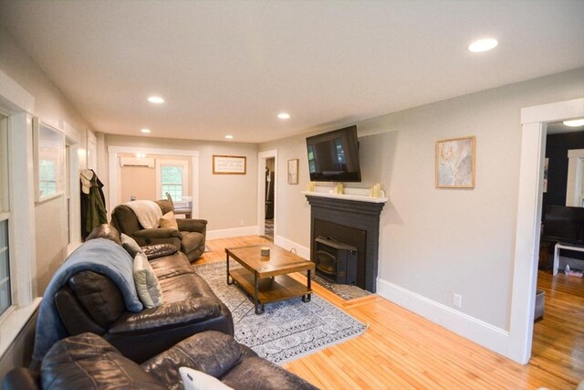 living room featuring light wood-type flooring