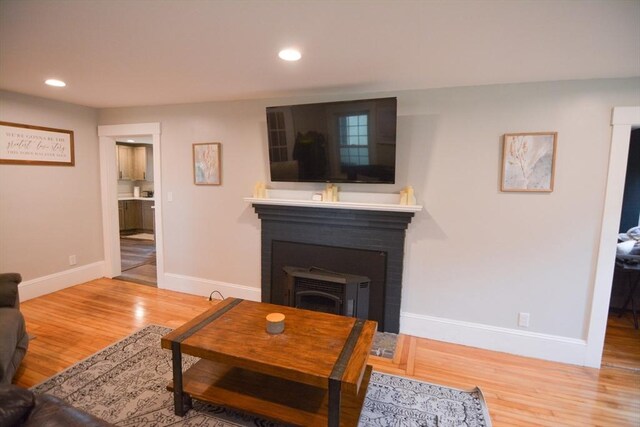 living room featuring hardwood / wood-style flooring