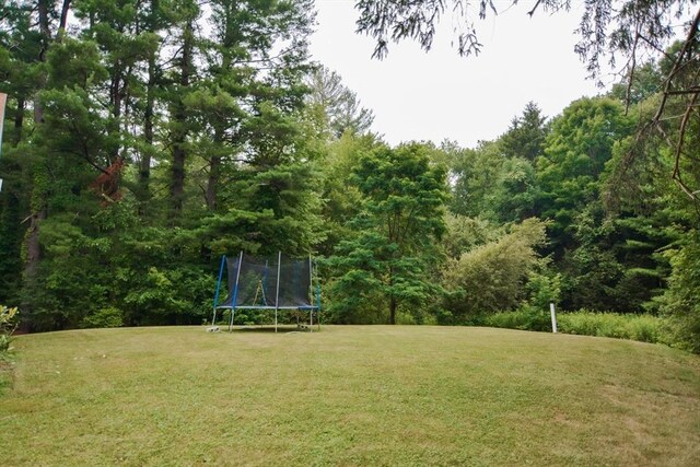 view of yard with a trampoline