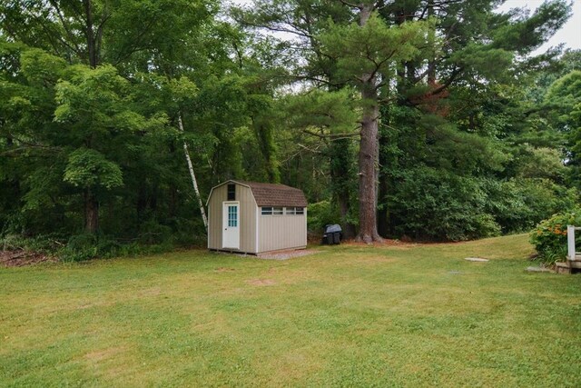 view of yard with a storage unit