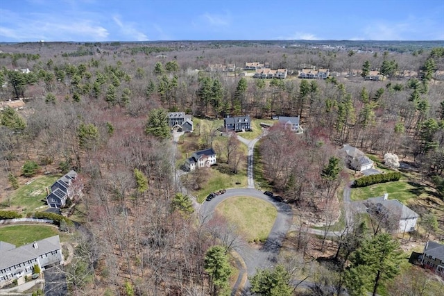 drone / aerial view