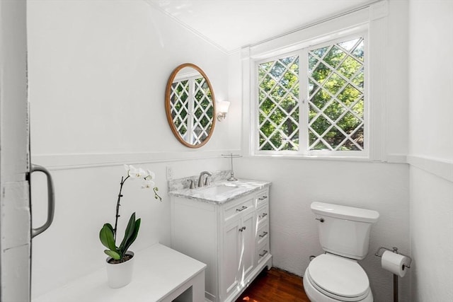 bathroom featuring vanity, plenty of natural light, wood-type flooring, and toilet