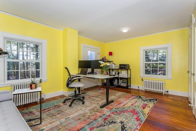 home office with wood finished floors, baseboards, crown molding, and radiator heating unit
