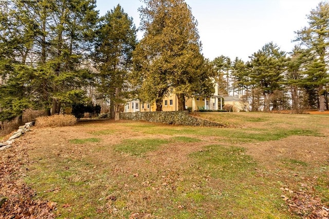 view of yard