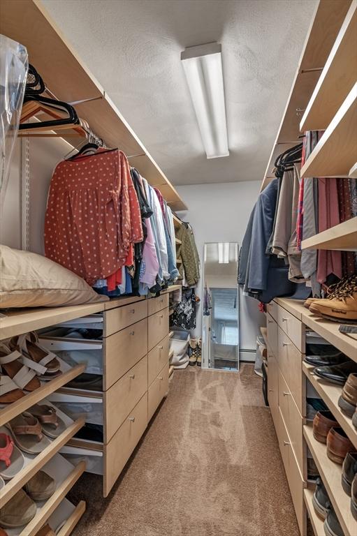 spacious closet with carpet floors