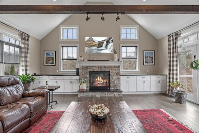 living area with plenty of natural light and wood finished floors