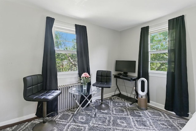 42 Newman Rd Unit 3, Malden, MA 02148 - home office featuring plenty of natural light, radiator heating unit, and wood finished floors