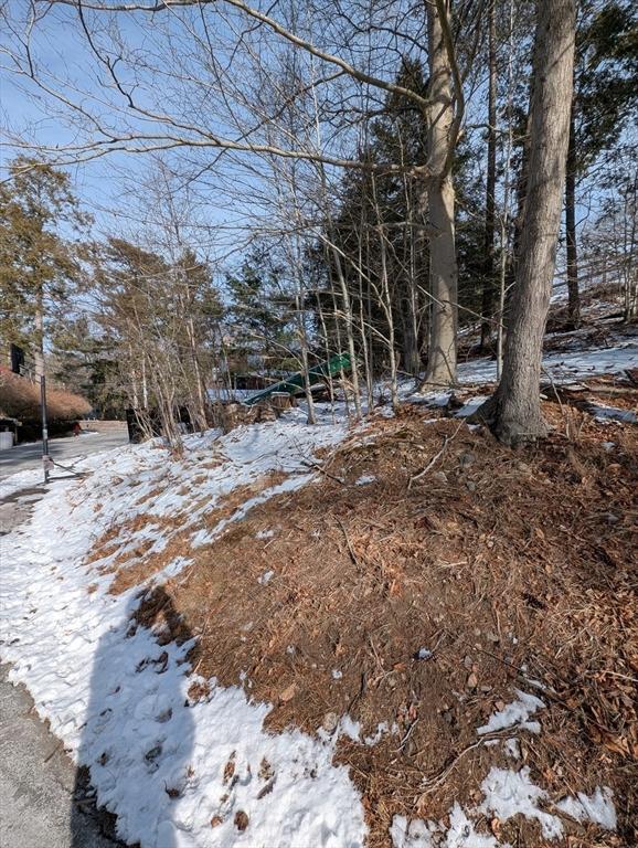 view of snowy landscape