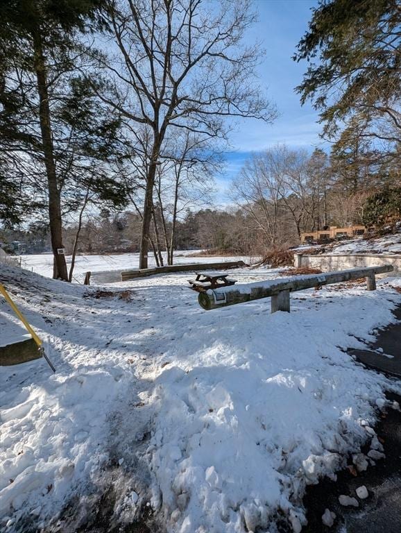 view of snowy yard