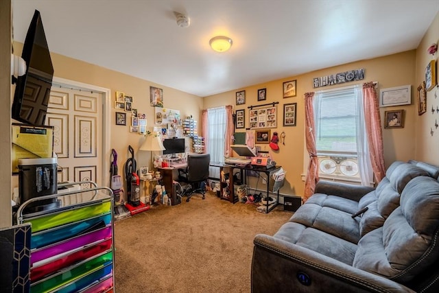 office featuring plenty of natural light and carpet