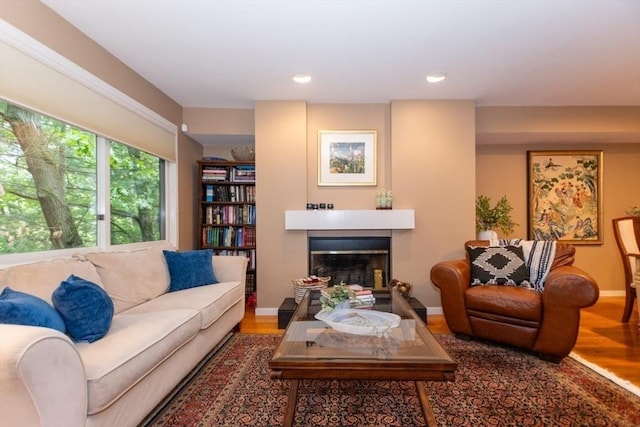 1175 Chestnut St Unit 33, Newton, MA 02464 - living room with a glass covered fireplace, wood finished floors, baseboards, and recessed lighting