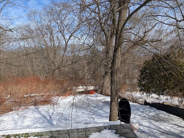 view of snowy yard