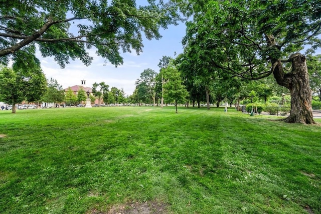 50 Follen St Unit 306, Cambridge, MA 02138 - view of grassy yard