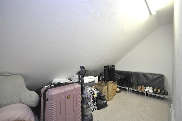 3 Cornet Stetson, Rockland, MA 02370 - view of storage room