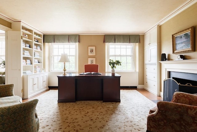 172 Beacon St Unit 4, Boston, MA 02116 - office with light wood-type flooring, crown molding, a fireplace with flush hearth, and baseboards