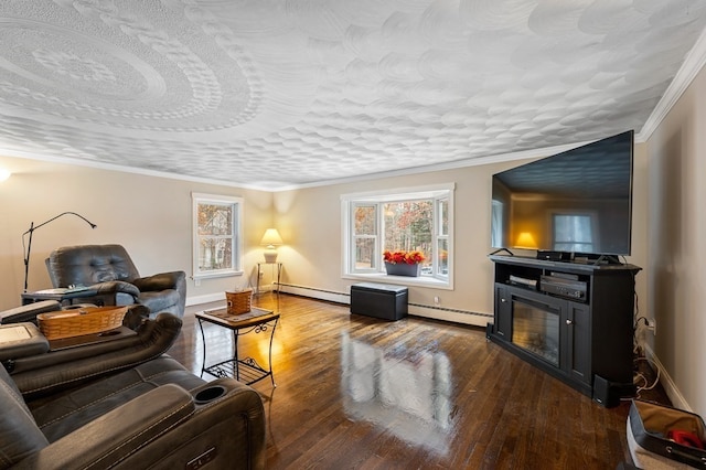 living room featuring wood-type flooring, a baseboard radiator, and ornamental molding