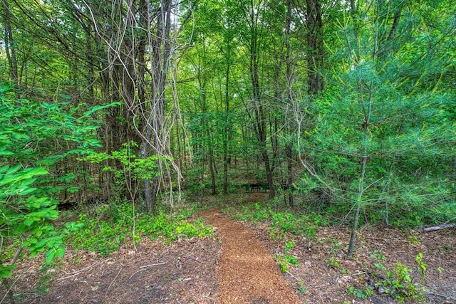 143 Ryan Rd, Stoughton, MA 02072 - view of undeveloped land