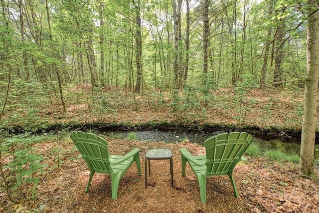 143 Ryan Rd, Stoughton, MA 02072 - view of yard with a wooded view