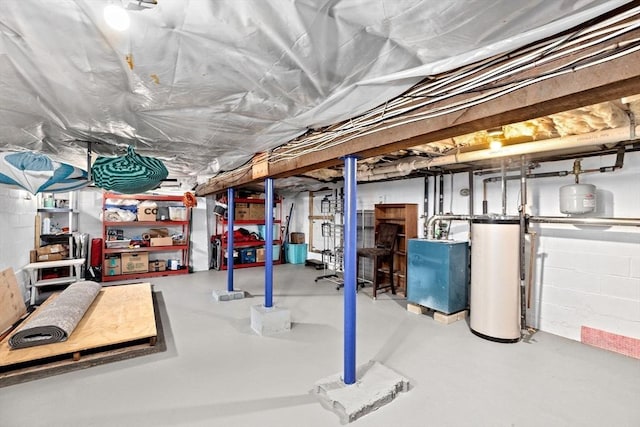 unfinished basement with gas water heater