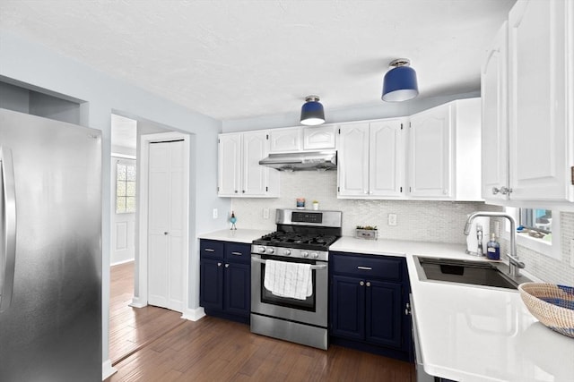 kitchen featuring stainless steel appliances, blue cabinets, a sink, under cabinet range hood, and tasteful backsplash