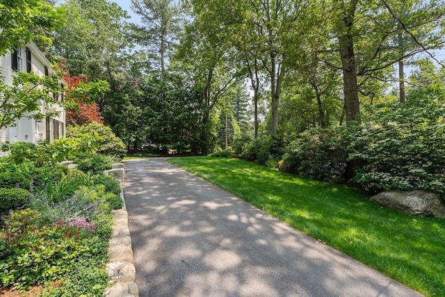 117 Deer Path Ln, Weston, MA 02493 - view of property's community featuring a yard