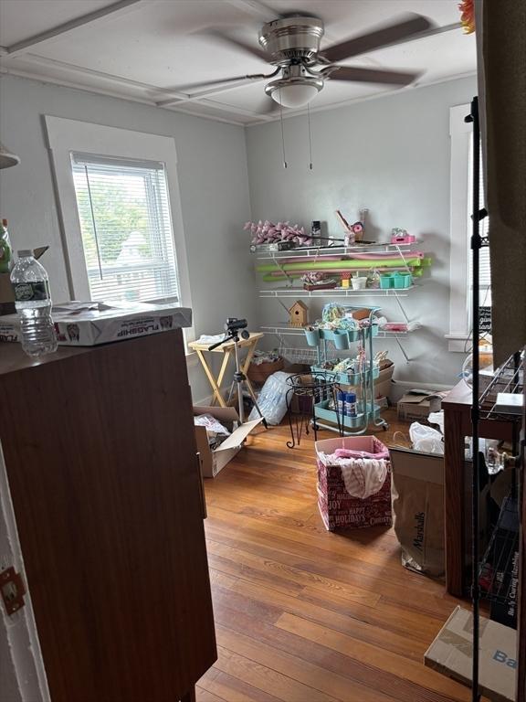 20 Osgood Ave, Lowell, MA 01850 - interior space with ceiling fan and wood-type flooring
